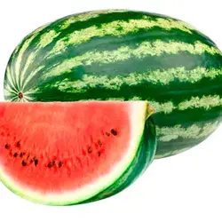 SANDIAS UNID (4 a 6 kg.)