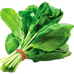 ESPINACA 300G