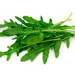 RUCULA 500G