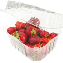 FRUTILLA KILO