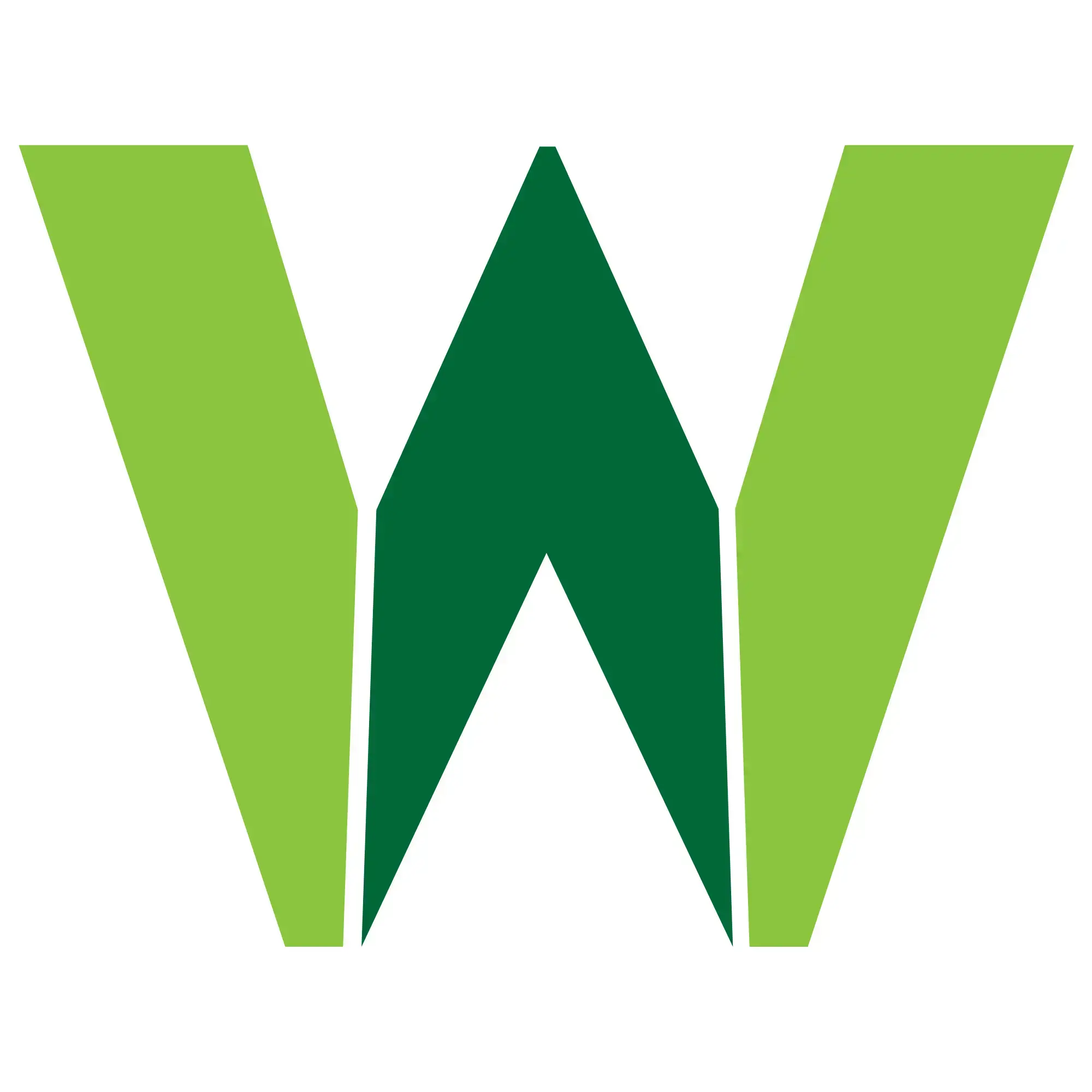 Raizverde