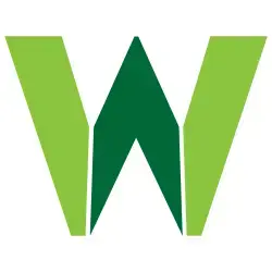 Raizverde