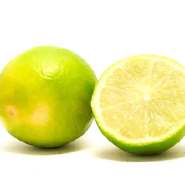 LIMON SUTIL KG