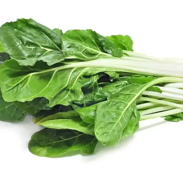 ACELGA PAQUETE 500g