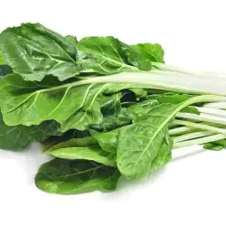 ACELGA PAQUETE 500g