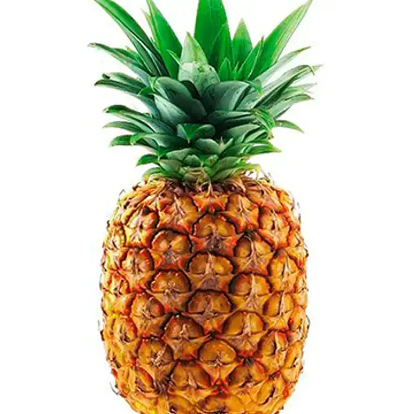 PIÑA UNIDAD