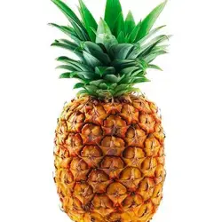 PIÑA UNIDAD
