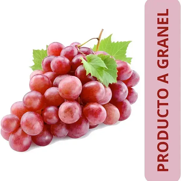 UVA ROSADA KG