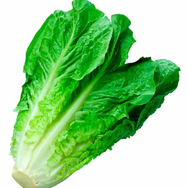 LECHUGA COSTINA UNID