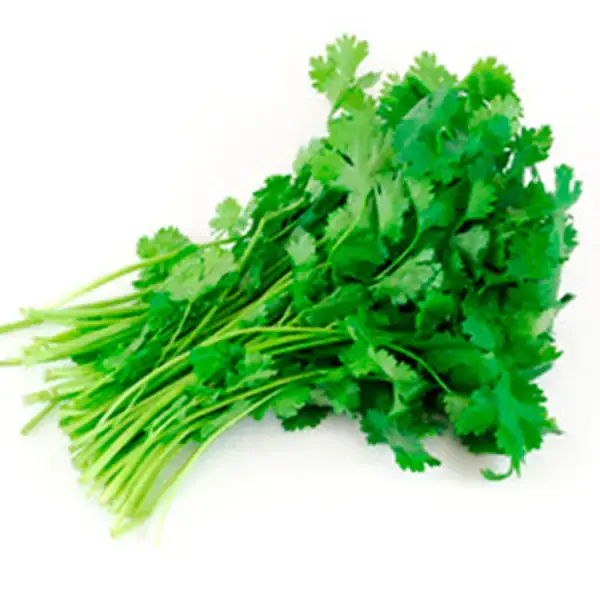 CILANTRO PQTE 250G